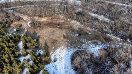 Exceptional 74± Acre Recreational Property | Jackson County, WI - image 9
