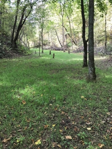 Exceptional 74± Acre Recreational Property | Jackson County, WI - image 43