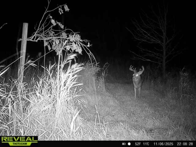 Exceptional 74± Acre Recreational Property | Jackson County, WI - image 42