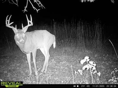 Exceptional 74± Acre Recreational Property | Jackson County, WI - image 4