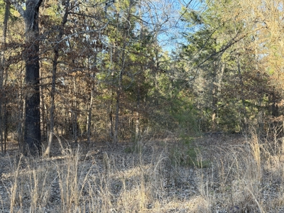 East Texas Mobile Homes and Land For Sale - image 7