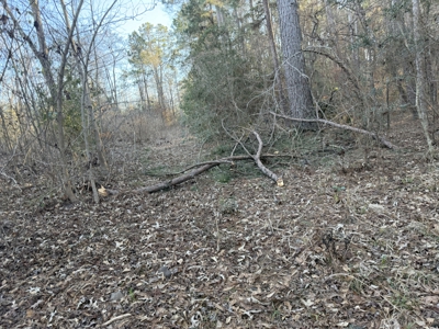 East Texas Mobile Homes and Land For Sale - image 15