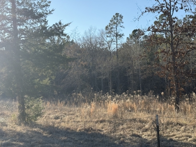 East Texas Mobile Homes and Land For Sale - image 11