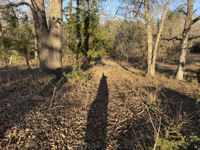 East Texas Mobile Homes and Land For Sale - image 19