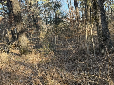 East Texas Mobile Homes and Land For Sale - image 18