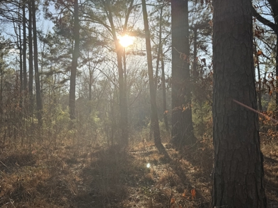 East Texas Mobile Homes and Land For Sale - image 17