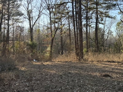 East Texas Mobile Homes and Land For Sale - image 16