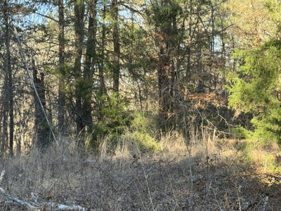 East Texas Mobile Homes and Land For Sale - image 9