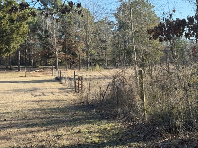 East Texas Mobile Homes and Land For Sale - image 10