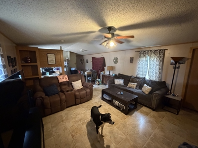 East Texas Mobile Homes and Land For Sale - image 41