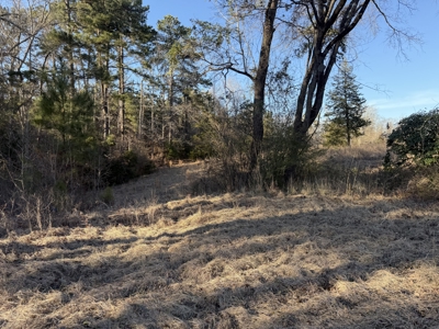 East Texas Mobile Homes and Land For Sale - image 14