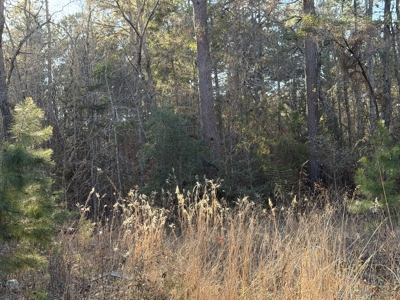 East Texas Mobile Homes and Land For Sale - image 8