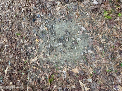 18 Acre Homesite in Magnolia, MS, Pike County - image 14