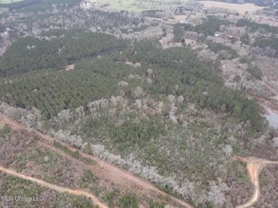 18 Acre Homesite in Magnolia, MS, Pike County - image 25