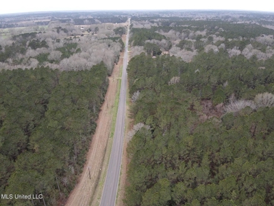 18 Acre Homesite in Magnolia, MS, Pike County - image 23