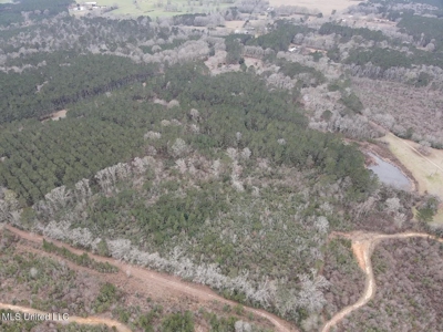 18 Acre Homesite in Magnolia, MS, Pike County - image 28