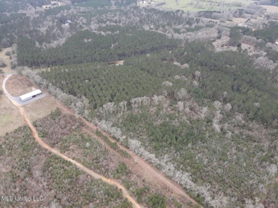 18 Acre Homesite in Magnolia, MS, Pike County - image 27