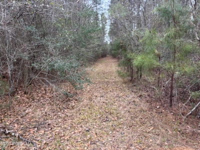18 Acre Homesite in Magnolia, MS, Pike County - image 20
