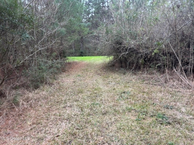 18 Acre Homesite in Magnolia, MS, Pike County - image 22