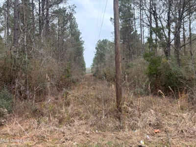 18 Acre Homesite in Magnolia, MS, Pike County - image 6