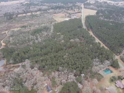 18 Acre Homesite in Magnolia, MS, Pike County - image 24