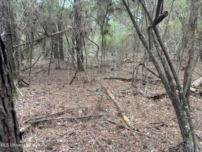 18 Acre Homesite in Magnolia, MS, Pike County - image 12
