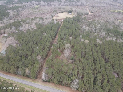 18 Acre Homesite in Magnolia, MS, Pike County - image 30