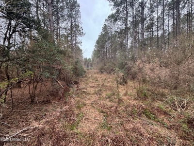 18 Acre Homesite in Magnolia, MS, Pike County - image 7