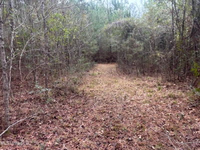 18 Acre Homesite in Magnolia, MS, Pike County - image 15