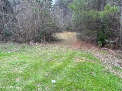 18 Acre Homesite in Magnolia, MS, Pike County - image 3