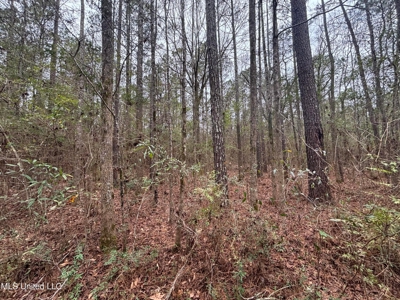 18 Acre Homesite in Magnolia, MS, Pike County - image 13