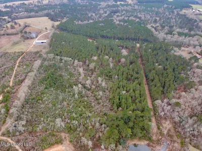 18 Acre Homesite in Magnolia, MS, Pike County - image 1