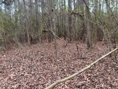18 Acre Homesite in Magnolia, MS, Pike County - image 11