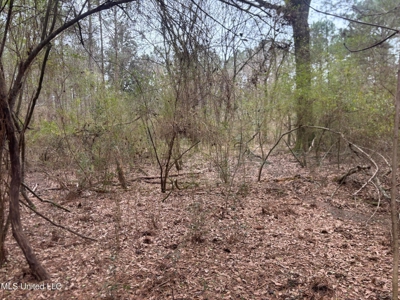 18 Acre Homesite in Magnolia, MS, Pike County - image 9