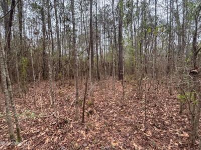 18 Acre Homesite in Magnolia, MS, Pike County - image 16