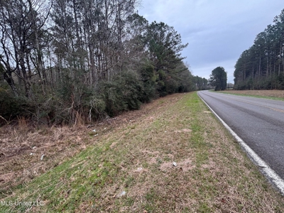 18 Acre Homesite in Magnolia, MS, Pike County - image 4