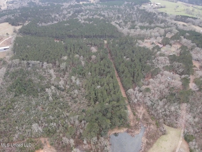 18 Acre Homesite in Magnolia, MS, Pike County - image 26