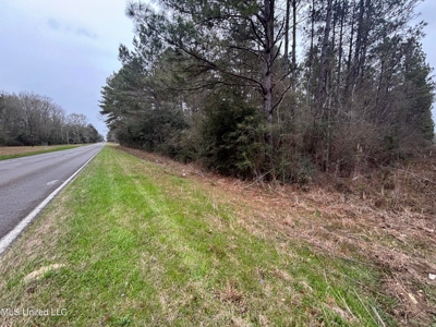 18 Acre Homesite in Magnolia, MS, Pike County - image 5
