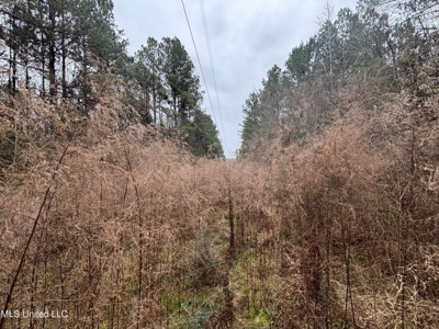 18 Acre Homesite in Magnolia, MS, Pike County - image 8