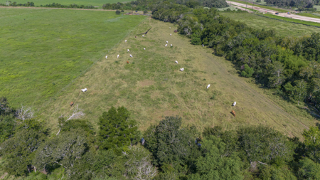 143 Acres | Rail, Barge & Industrial Growth Corridor - image 19