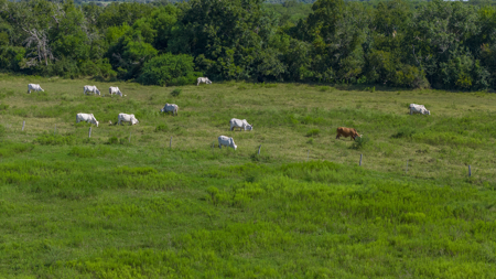 143 Acres | Rail, Barge & Industrial Growth Corridor - image 16