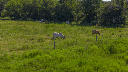 143 Acres | Rail, Barge & Industrial Growth Corridor - image 17