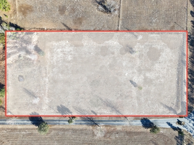 Royal Springs Equestrian Estates--4.56 Acres Near O'brien, Fl - image 15