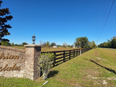 Royal Springs Equestrian Estates--4.56 Acres Near O'brien, Fl - image 5