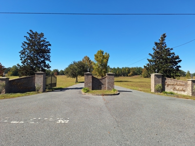 Royal Springs Equestrian Estates--4.56 Acres Near O'brien, Fl - image 3