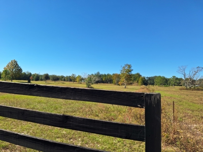 Royal Springs Equestrian Estates--4.56 Acres Near O'brien, Fl - image 7