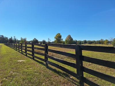 Royal Springs Equestrian Estates--4.56 Acres Near O'brien, Fl - image 8
