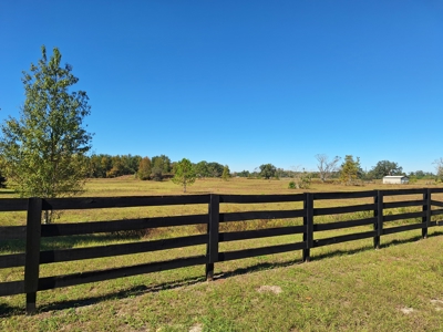 Royal Springs Equestrian Estates--4.56 Acres Near O'brien, Fl - image 6