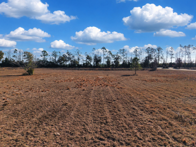 Royal Springs Equestrian Estates--4.56 Acres Near O'brien, Fl - image 14