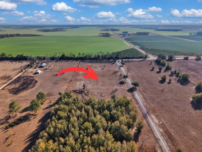 Royal Springs Equestrian Estates--4.56 Acres Near O'brien, Fl - image 9